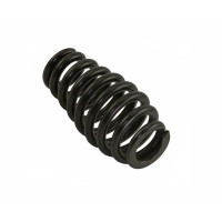 Springer Fork Spring - Black